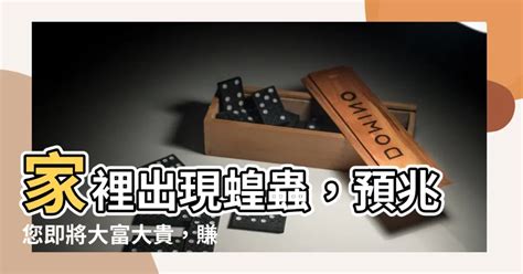 家裡有蝗蟲|家裡出現蝗蟲是什麼預兆？蝗蟲飛進家裡有什麼寓意？